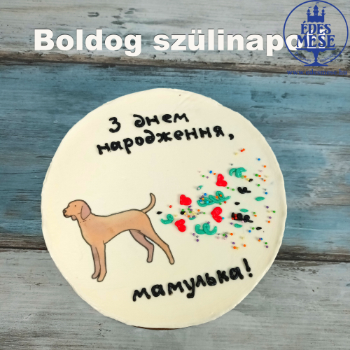 bento dog.jpg