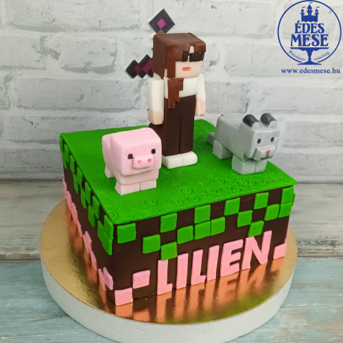 minecraft 2.jpg