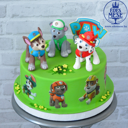 paw patrol green.jpg